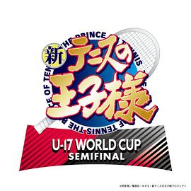 ¾WU-17WORLDCUPSE