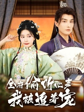 ȫ��͵ ���ұ�׷����