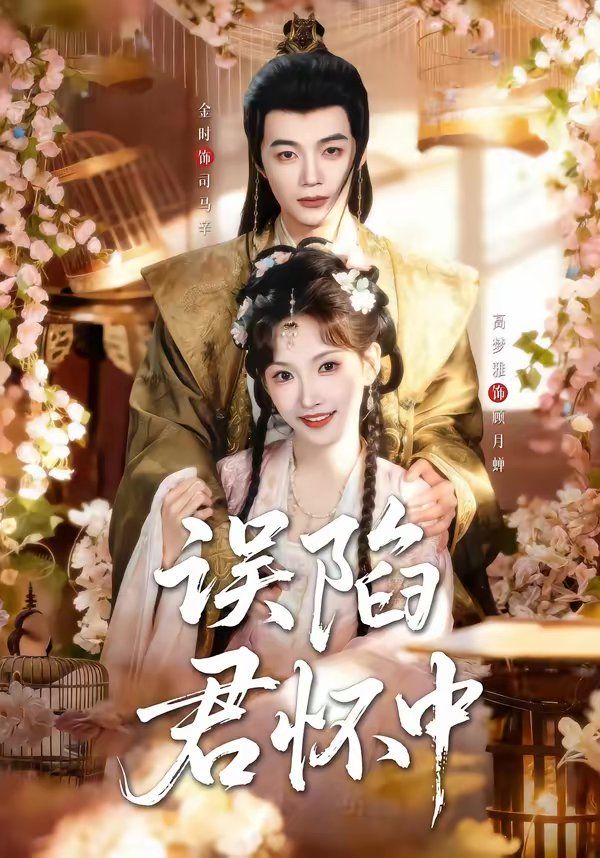 �`�ݾ�����