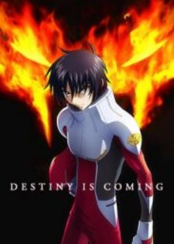 Cӑʿ_SEED DESTINY