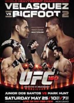 UFC 161