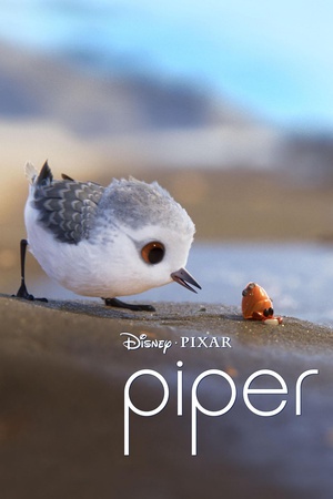  Piper