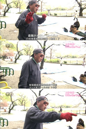 紀實72小時 上野公園 盛開