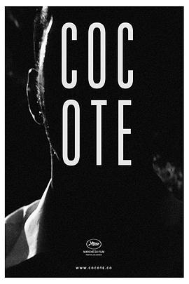 ֮i Cocote