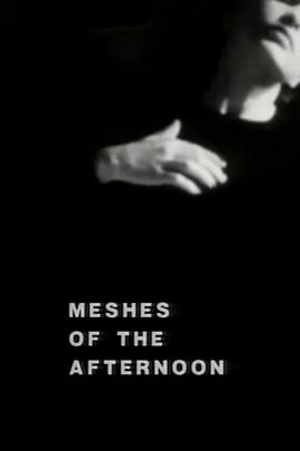  Meshes of the