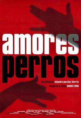 ǹ Amores perros