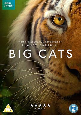 ؈ Big Cats