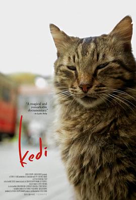 ؈֮ Kedi