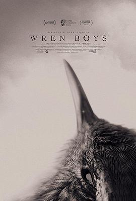 к Wren Boys