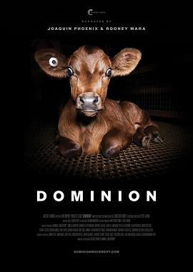 y Dominion