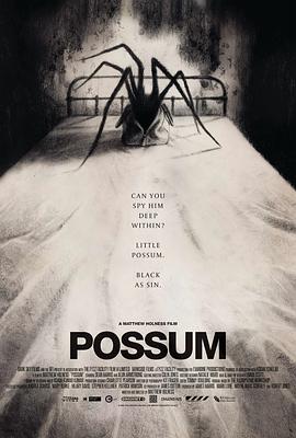 ؓ Possum