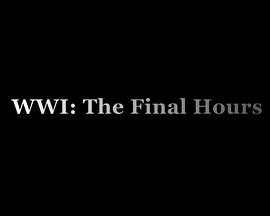 WWI: The Final Hours