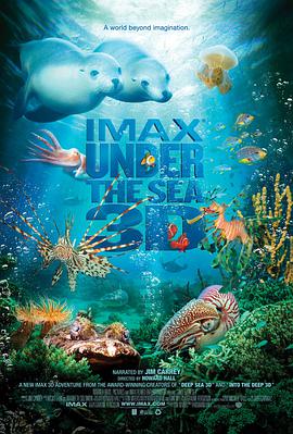 3D Under the Sea