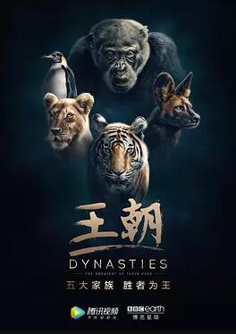 王朝[紀錄片國語版]