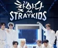 ҵStrayKids