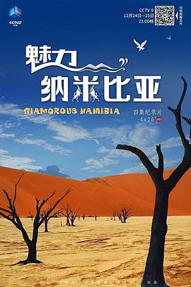 魅力納米比亞