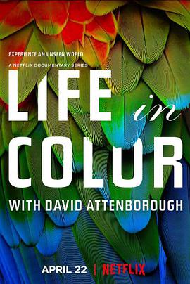  Life In Colour